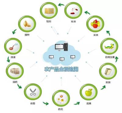 真農(nóng)觀察 農(nóng)產(chǎn)品溯源系統(tǒng)，品牌管理的基石與未來